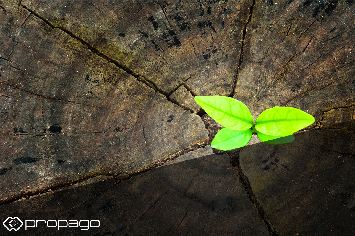 marketing portals web to print