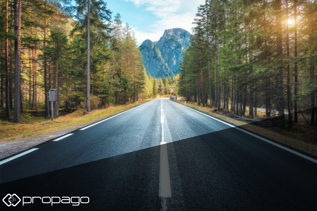 Scenic road through a forested landscape with mountains in the background, symbolizing resilience and reflection in the print industry during 2020.